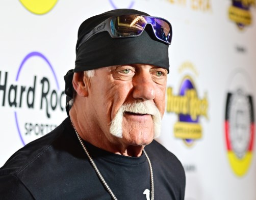 Hulk Hogan with hair